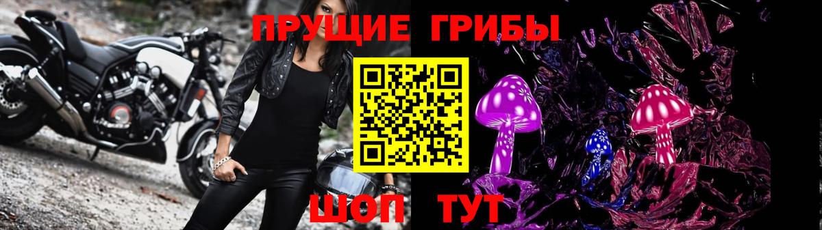 Добрянка  где можно купить   Вход с VPN  Псилоцибиновые грибы Psilocybine cubensis 